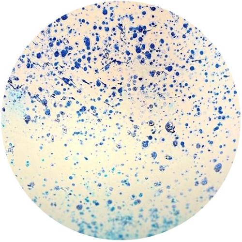 Lampada da tavolo in vetro dipinta Atlante h. 64 cm.