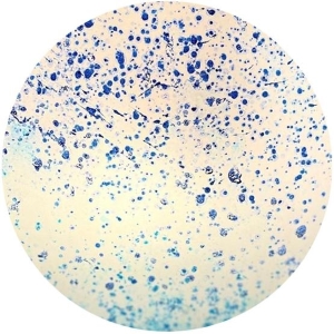 Lampada da tavolo in vetro dipinta Atlante h. 64 cm.