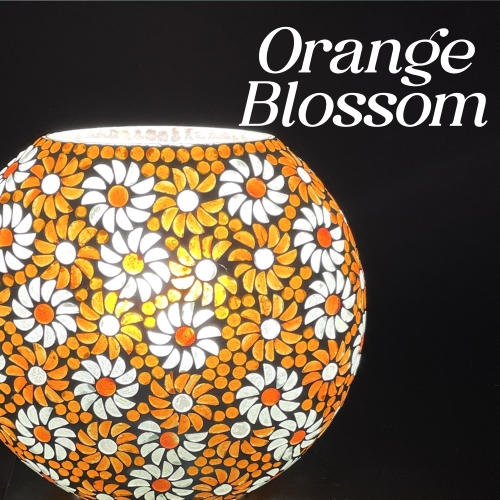 famille 17 - Orange Blossom