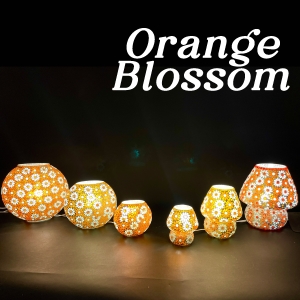 famille 17 - Orange Blossom